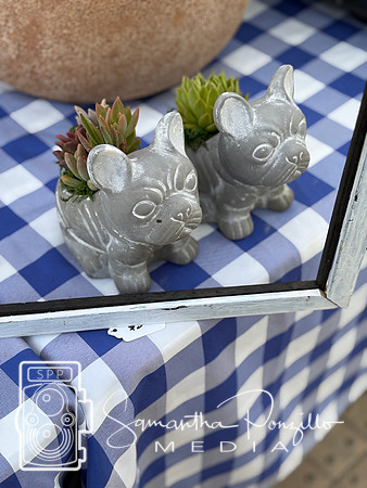 SPM.sarasotafarmersmarket52525-18