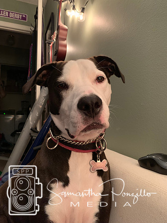 Birthday morning 10-4-19