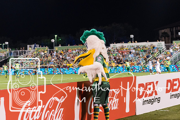 Tampa Bay Rowdies vs Indy Eleven