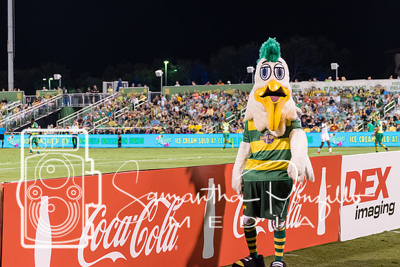 Tampa Bay Rowdies vs Indy Eleven