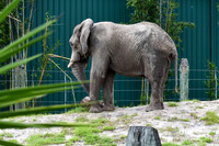 ZooTampa Day