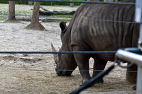 ZooTampa Day