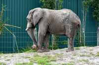 ZooTampa Day