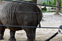 ZooTampa Day