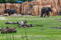 ZooTampa Day