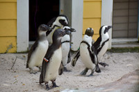 ZooTampa Day