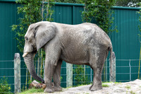 ZooTampa Day