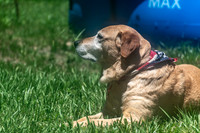 Maggie & Dibs July