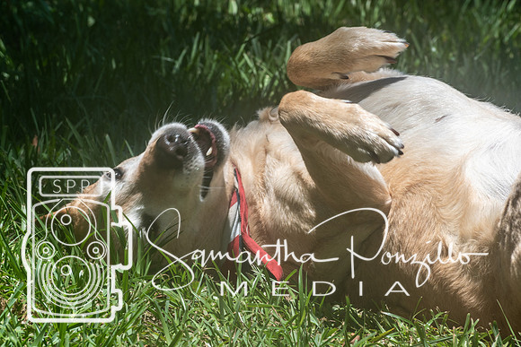 Maggie & Dibs July