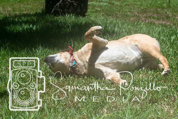 Maggie & Dibs July