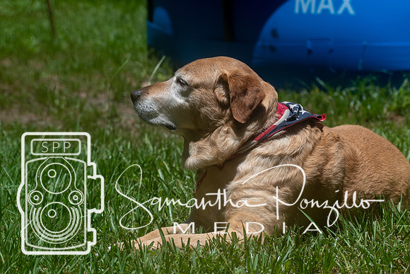 Maggie & Dibs July