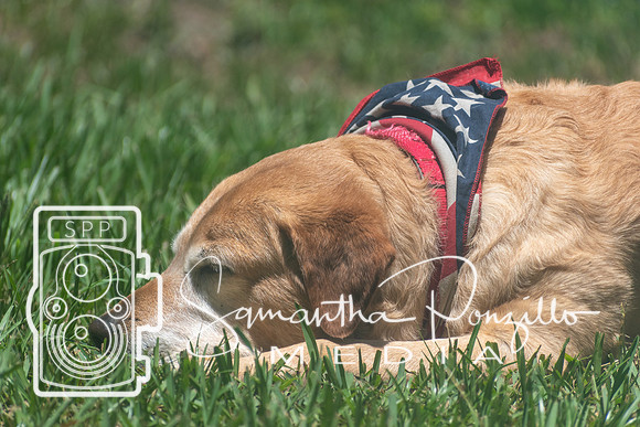 Maggie & Dibs July