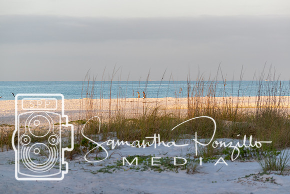 Sarasota County Beaches Shutdown
