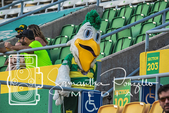 5-01 Tampa Bay Rowdies vs. Charlotte Independence