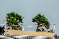 Rowdies Social Distancing Match 7 VS Philadelphia Union II