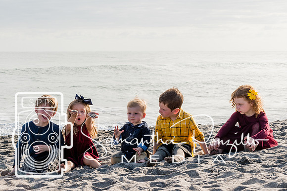 Laurent Family Session 11-30-19