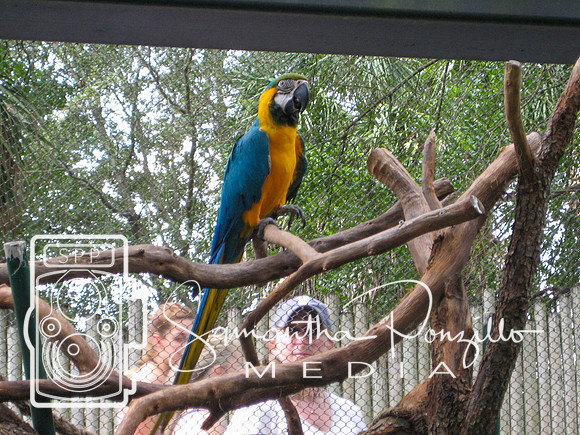 Busch Gardens All Day Extravaganza