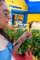 SPM.pier60sugarsandfestival2024-8