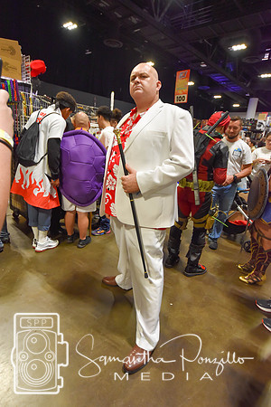 SPM.tampabaycomiconday2-14