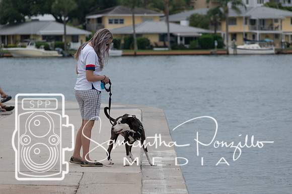 Bayfront Park with River