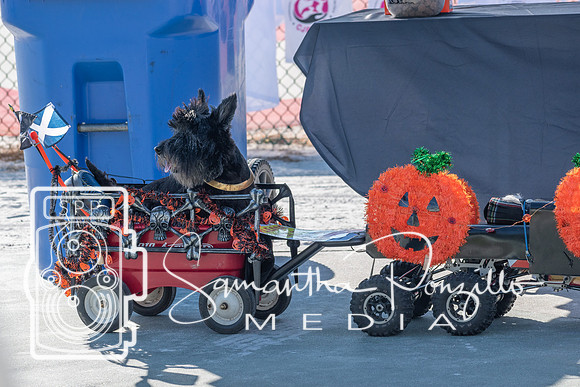 cjpaws103119-10