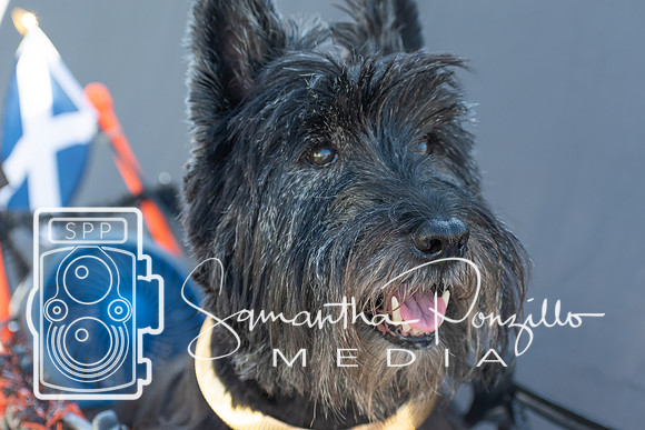 cjpaws103119-18