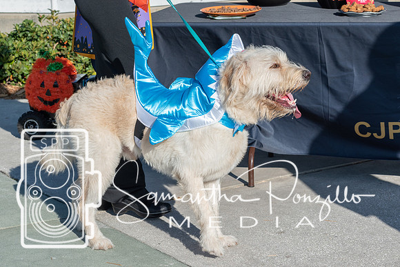 cjpaws103119-21