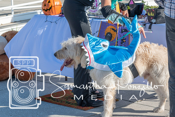 cjpaws103119-19