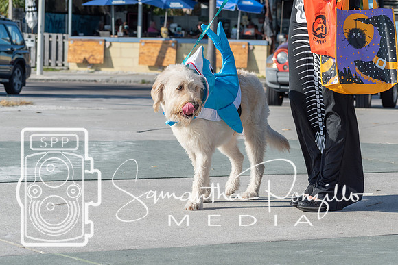 cjpaws103119-22