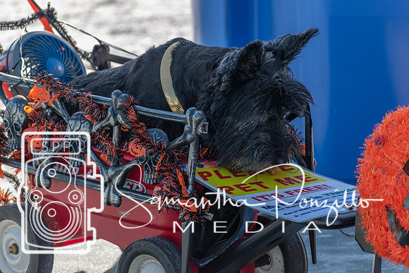 cjpaws103119-14
