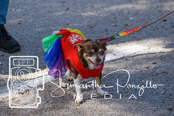 SPM.gulfportpride2024-8