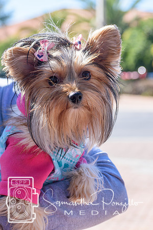 SPM.whfm012525-10