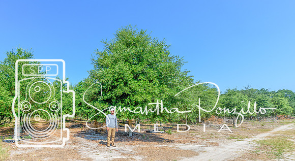 SPM.greendiamondtreefarm-3