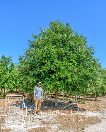 SPM.greendiamondtreefarm-1