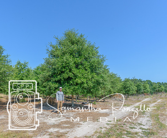 SPM.greendiamondtreefarm-2